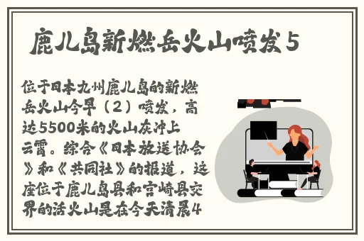 迈开腿让尝尝你的小扇贝的app